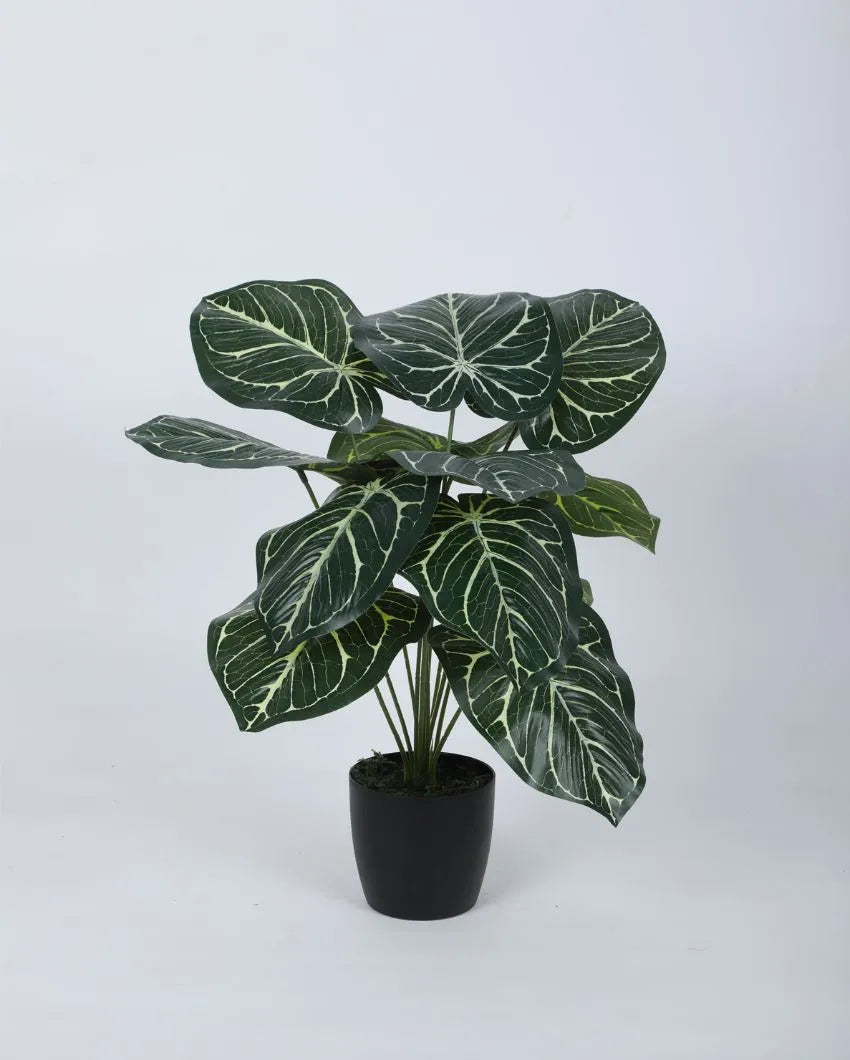 Artificial Pvc Silk Plant With Black Pot | 22 Inches