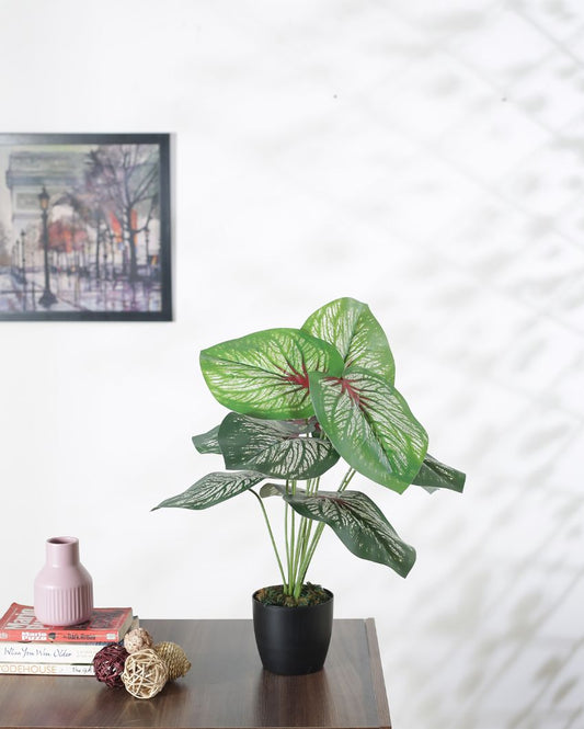 Artificial Pvc Silk Plant Big Leaves With Black Pot | 22 Inches