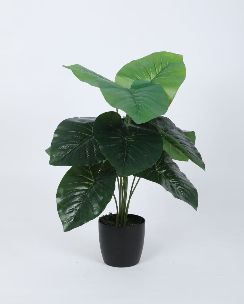 Artificial Pvc Rubber Silk Plant With Black Pot | 22 Inches