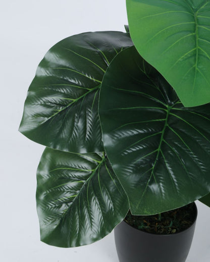 Artificial Pvc Rubber Silk Plant With Black Pot | 22 Inches