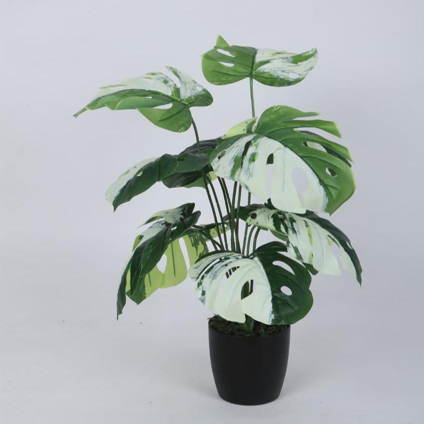 Artificial Pvc Monsters Silk Plant With Black Pot | 22 Inches Green White