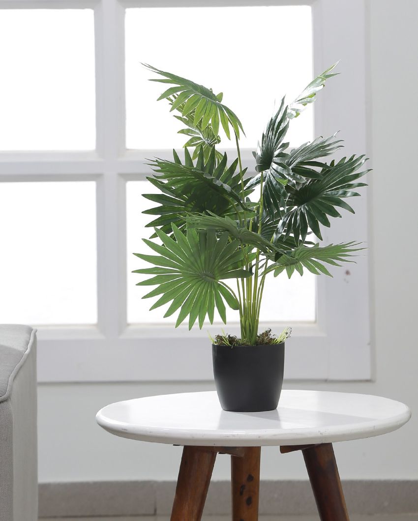 Artificial Palm Plastic Plants 12 Leaves with pot Greenery Plants