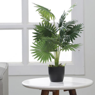 Artificial Palm Plastic Plants 12 Leaves with pot Greenery Plants