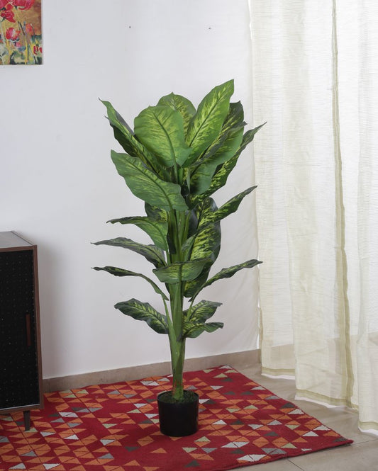Artificial Green Dieffenbachia Plant With Black Pot | 55 Inches