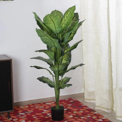 Artificial Green Dieffenbachia Plant With Black Pot | 55 Inches