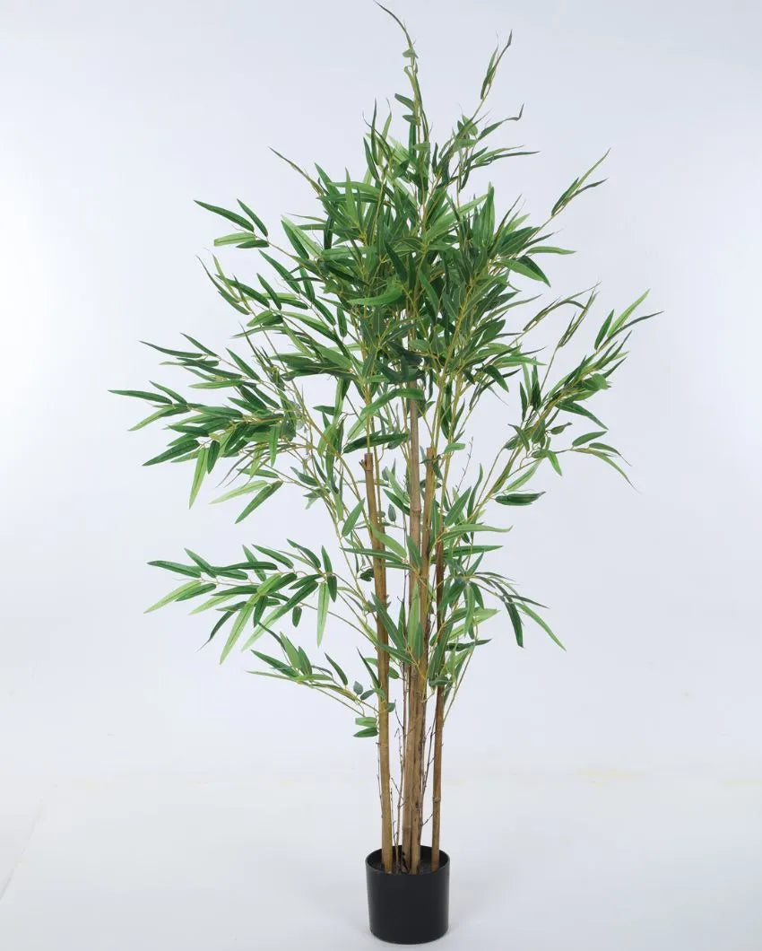 Artificial Green Bamboo Plant With Black Pot | 47 Inches 59 Inches