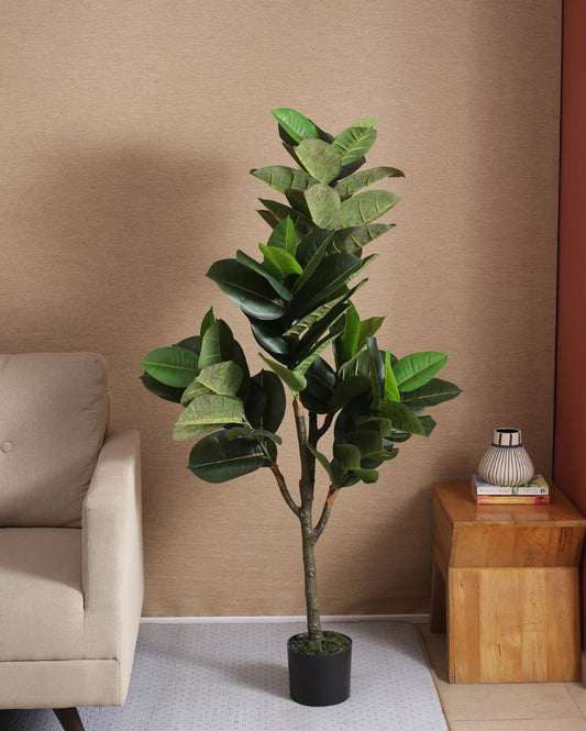 Artificial Real Touch Rubber Plant With Black Pot | 59 Inches