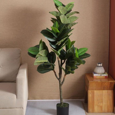 Artificial Real Touch Rubber Plant With Black Pot | 59 Inches