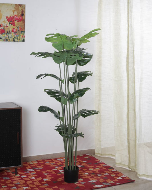Beautiful Artificial Pvc Silk Monstera Plant Big Leaves With Black Pot | 59 Inches