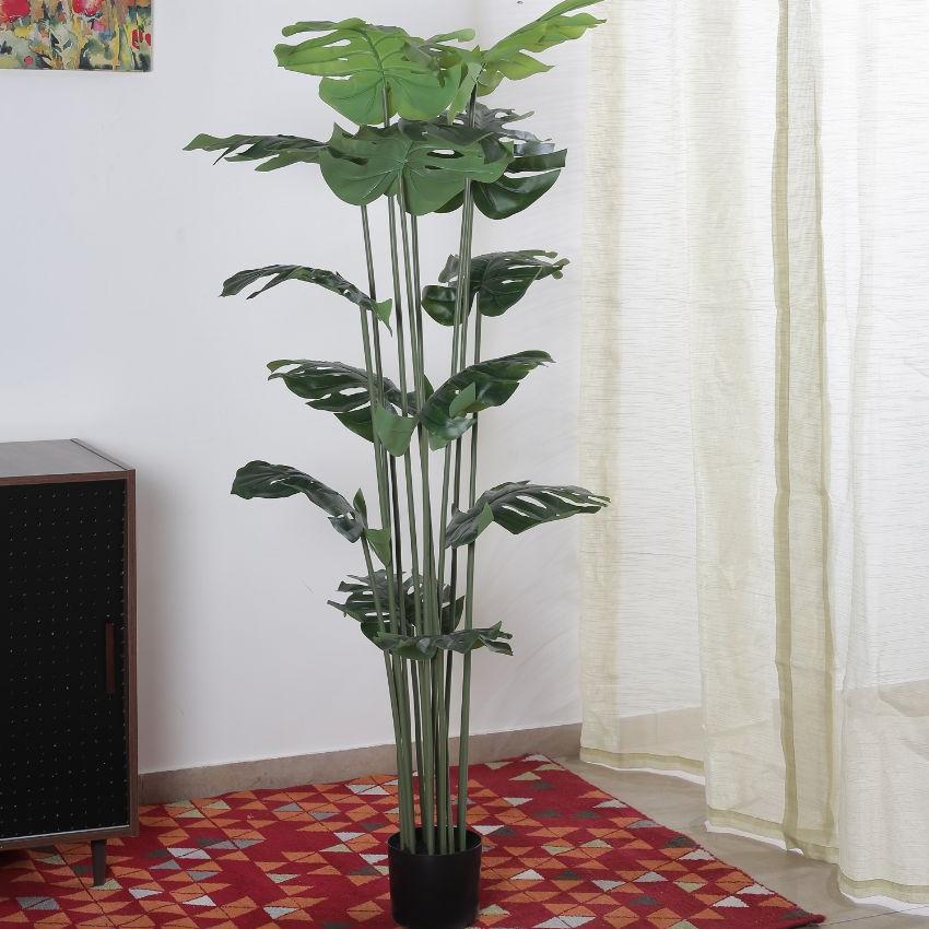 Beautiful Artificial Pvc Silk Monstera Plant Big Leaves With Black Pot | 59 Inches