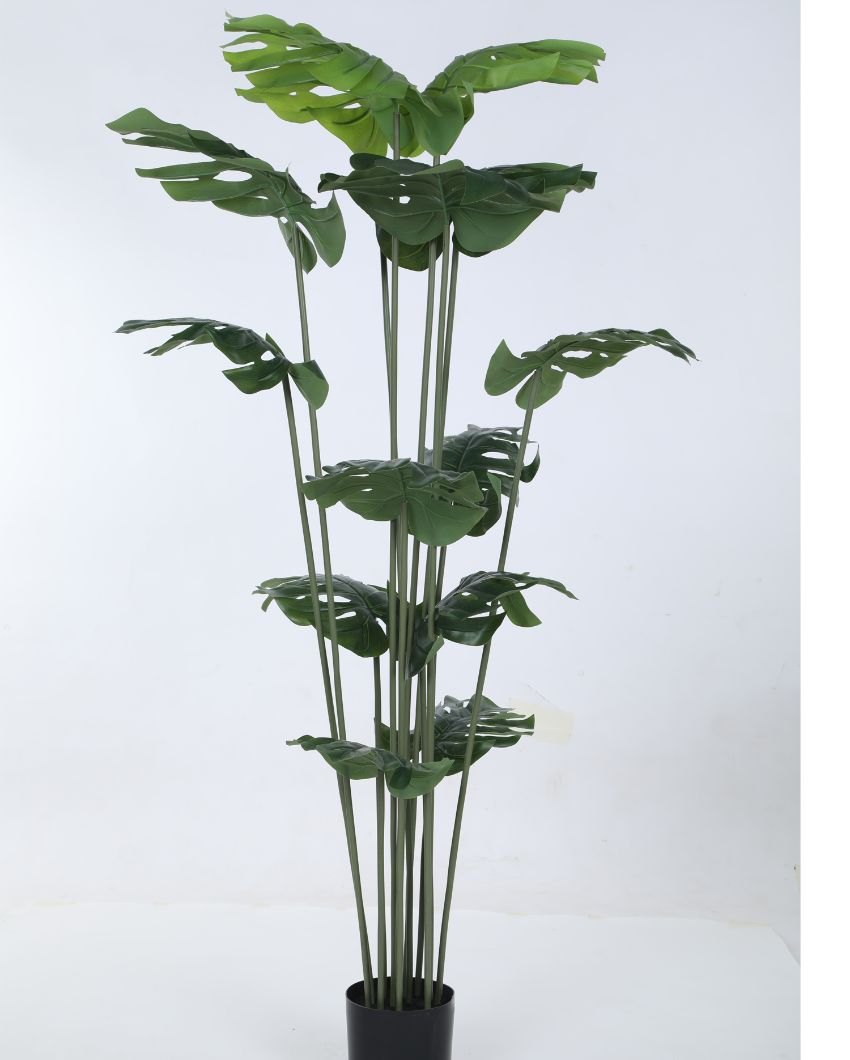 Beautiful Artificial Pvc Silk Monstera Plant Big Leaves With Black Pot | 59 Inches