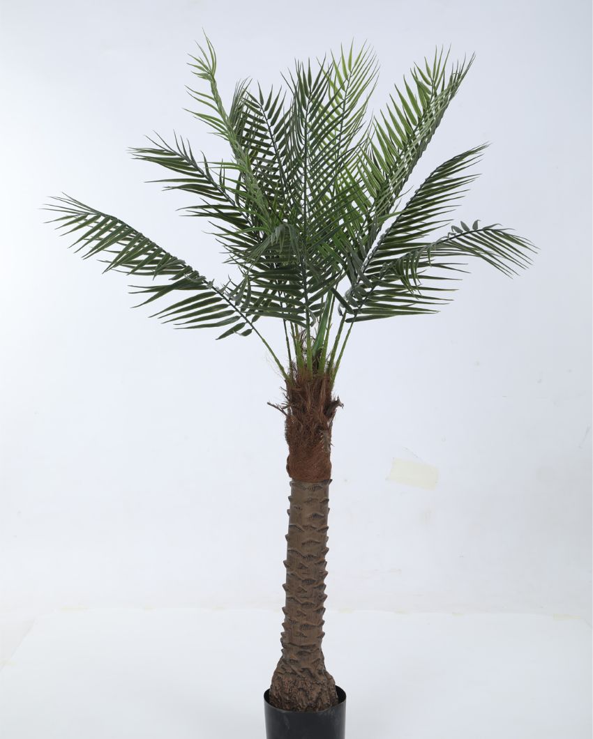 Salbo Artificial Areca Palm Plant For Home Décor With Black Pot | 59 Inches