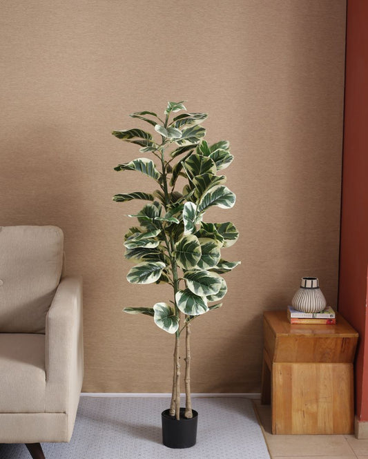 Artificial Fiddle Leaf Fig Variegated Plant With Black Pot | 59 Inches