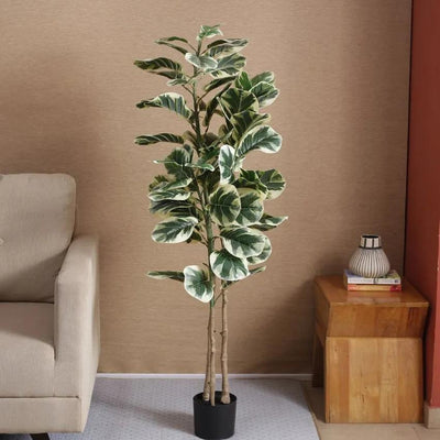 Artificial Fiddle Leaf Fig Variegated Plant With Black Pot | 59 Inches