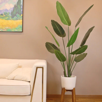 Big Size Banana Green Leaves With Pot | 160 Cm Default Title