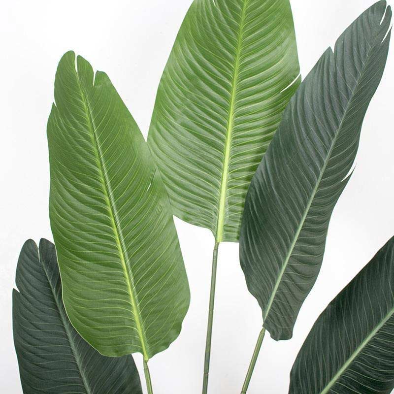 Big Size Banana Green Leaves With Pot | 160 Cm Default Title