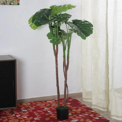 Artificial Real Touch Monstera Plant With Black Pot | 63 Inches