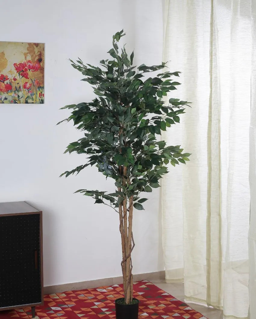 Beautiful Artificial Ficus Variegated Plant With Black Pot | 71 Inches Green