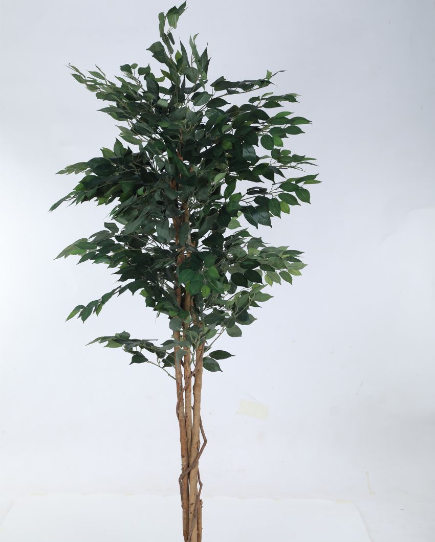 Beautiful Artificial Ficus Variegated Plant With Black Pot | 71 Inches Green