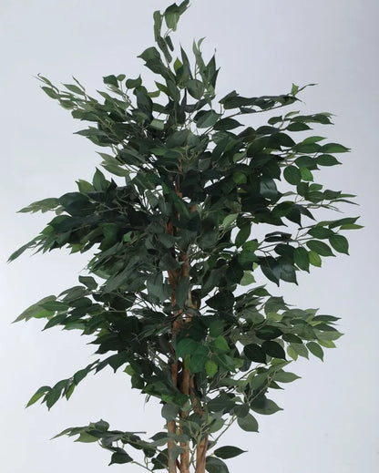 Beautiful Artificial Ficus Variegated Plant With Black Pot | 71 Inches Green