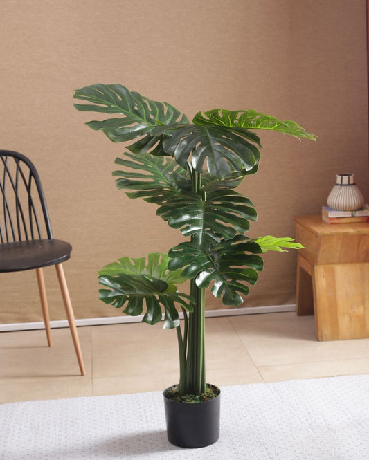 Beautiful Artificial Pvc Silk Monstera Plant Big Leaves With Black Pot | 71 Inches