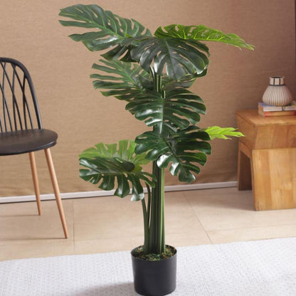 Beautiful Artificial Pvc Silk Monstera Plant Big Leaves With Black Pot | 71 Inches