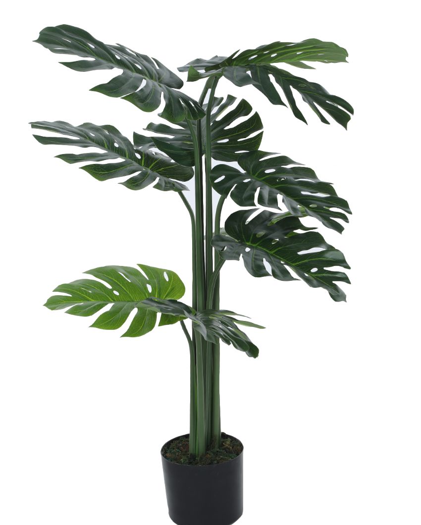 Beautiful Artificial Pvc Silk Monstera Plant Big Leaves With Black Pot | 71 Inches