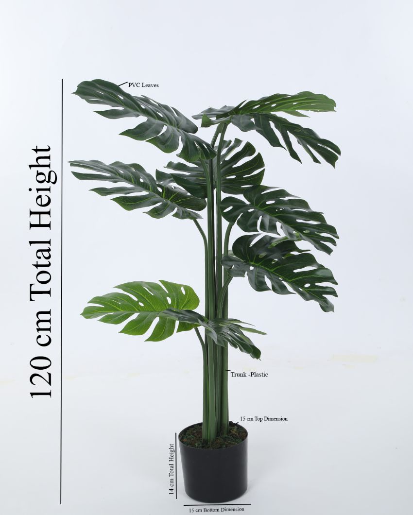 Beautiful Artificial Pvc Silk Monstera Plant Big Leaves With Black Pot | 71 Inches