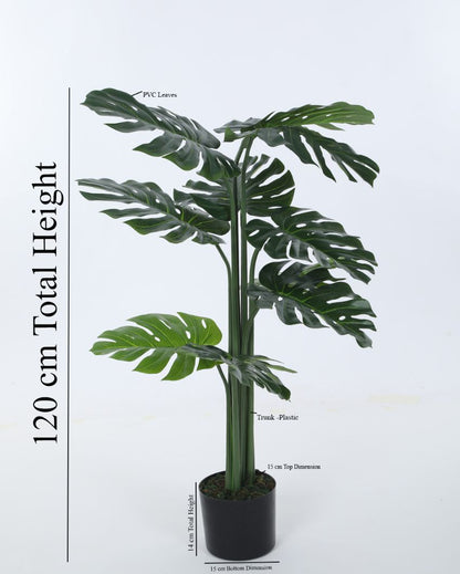 Beautiful Artificial Pvc Silk Monstera Plant Big Leaves With Black Pot | 71 Inches