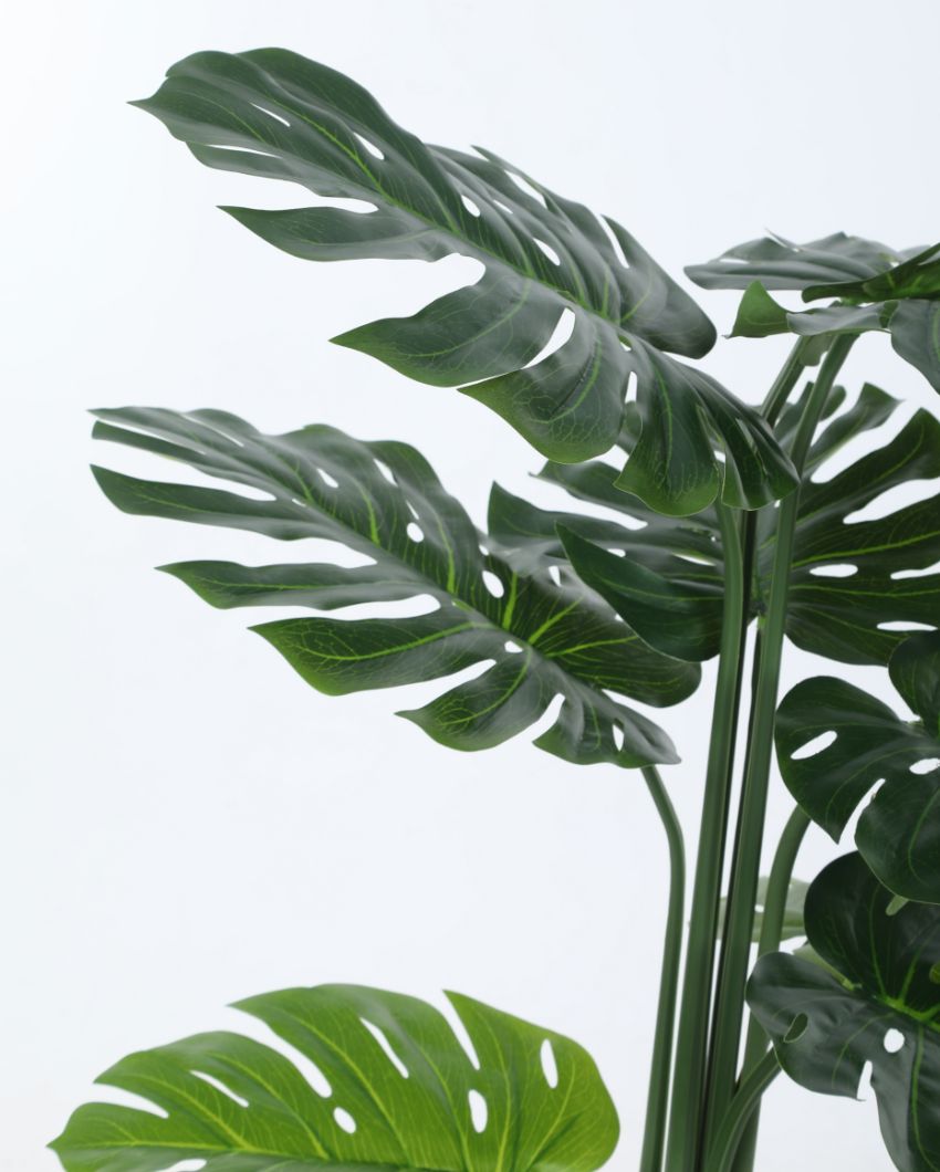 Beautiful Artificial Pvc Silk Monstera Plant Big Leaves With Black Pot | 71 Inches