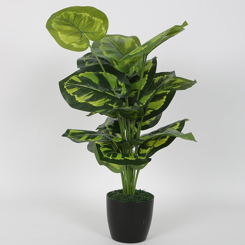 Goeppertia Artifical Plant For Indoor Decor Light Green