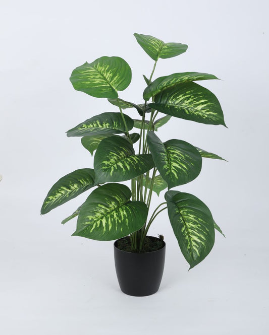 Beautiful Artificial Pvc Dieffenbachia Silk Plant With Black Pot | 26 Inches