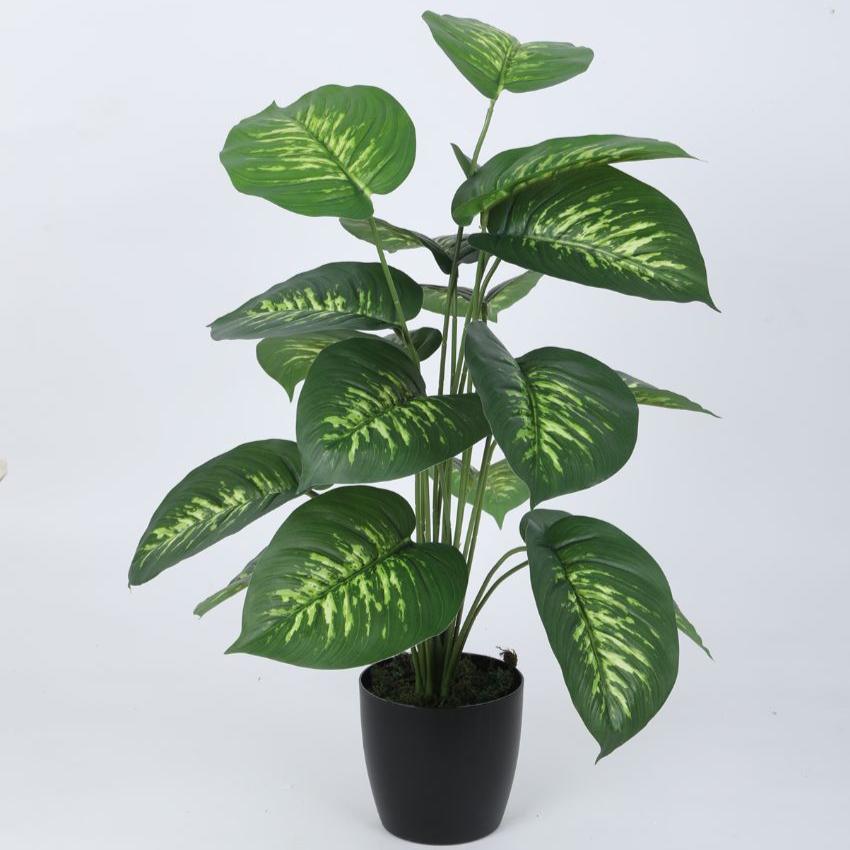 Beautiful Artificial Pvc Dieffenbachia Silk Plant With Black Pot | 26 Inches