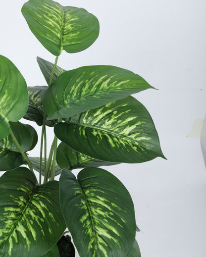 Beautiful Artificial Pvc Dieffenbachia Silk Plant With Black Pot | 26 Inches