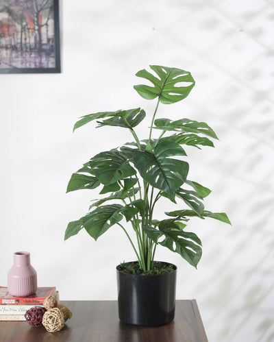 Monsters Silk Artificial Pvc Plant With Black Pot | 26 Inches