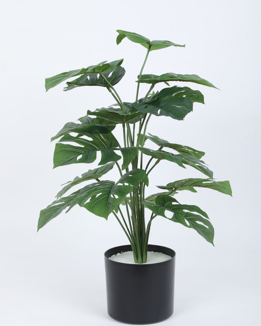 Monsters Silk Artificial Pvc Plant With Black Pot | 26 Inches