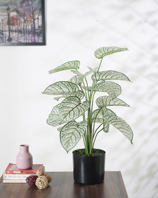 Artificial Pvc Dieffenbachia Silk Plant With Black Pot | 26 Inches White