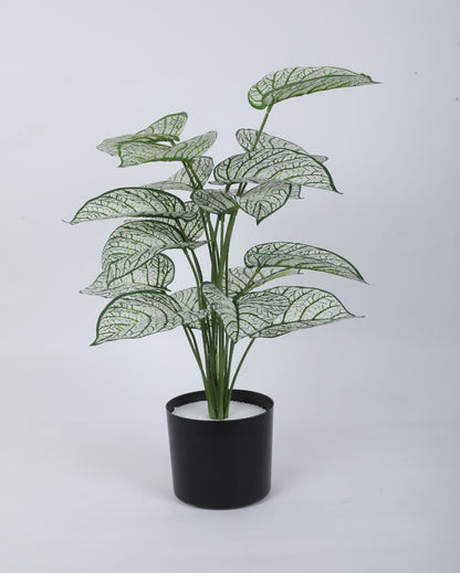 Artificial Pvc Dieffenbachia Silk Plant With Black Pot | 26 Inches White