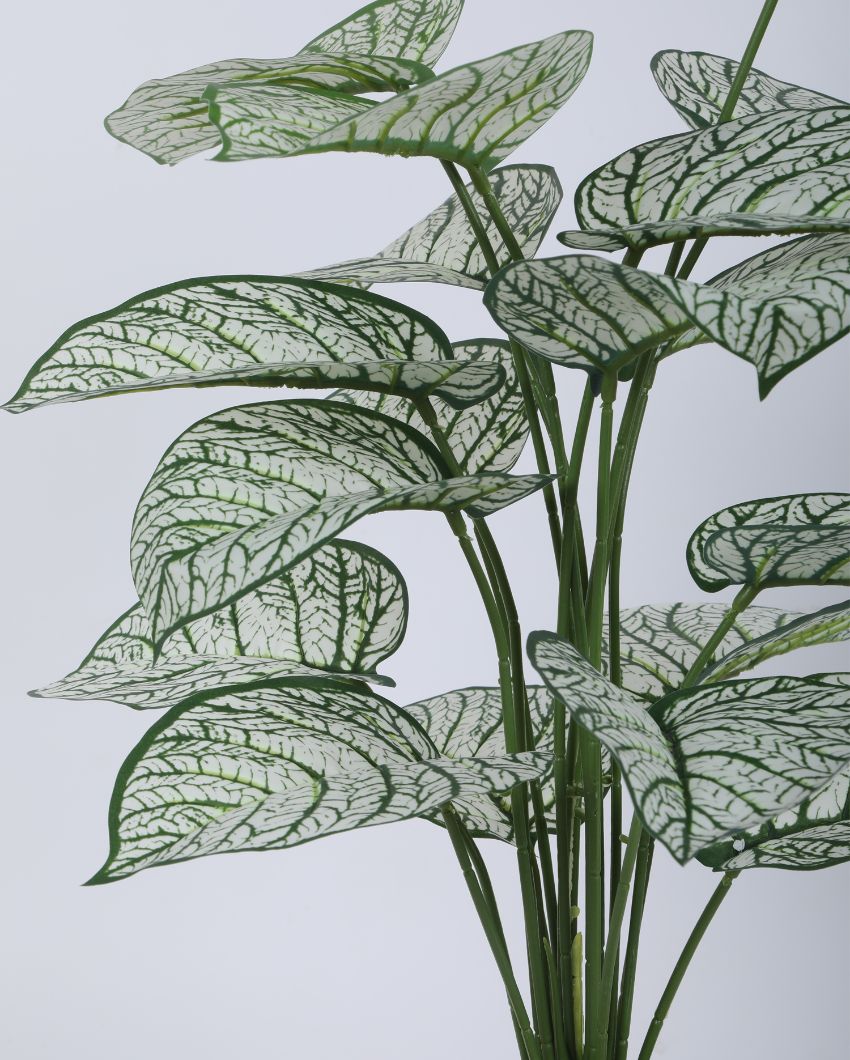 Artificial Pvc Dieffenbachia Silk Plant With Black Pot | 26 Inches White