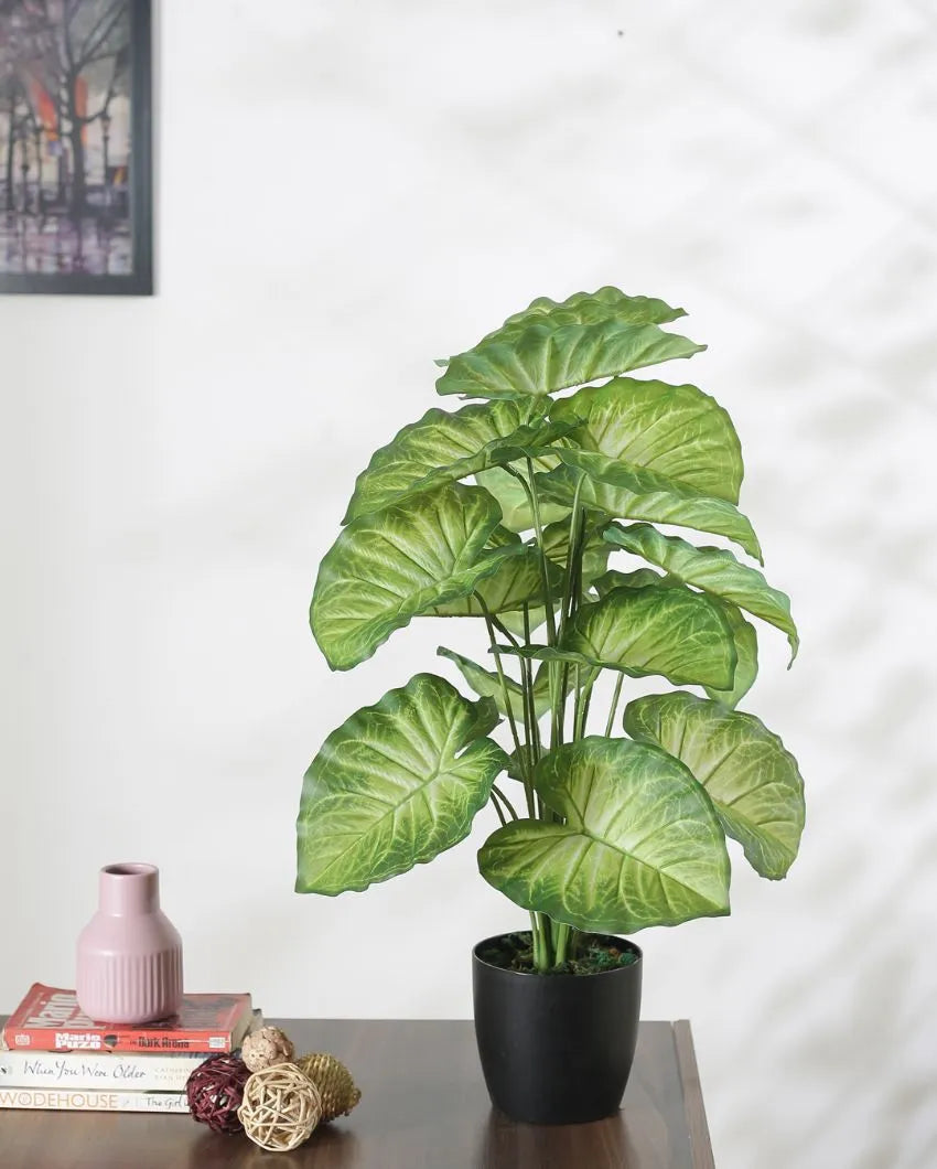 Artificial Pvc Dieffenbachia Silk Plant With Black Pot | 26 Inches Yellow