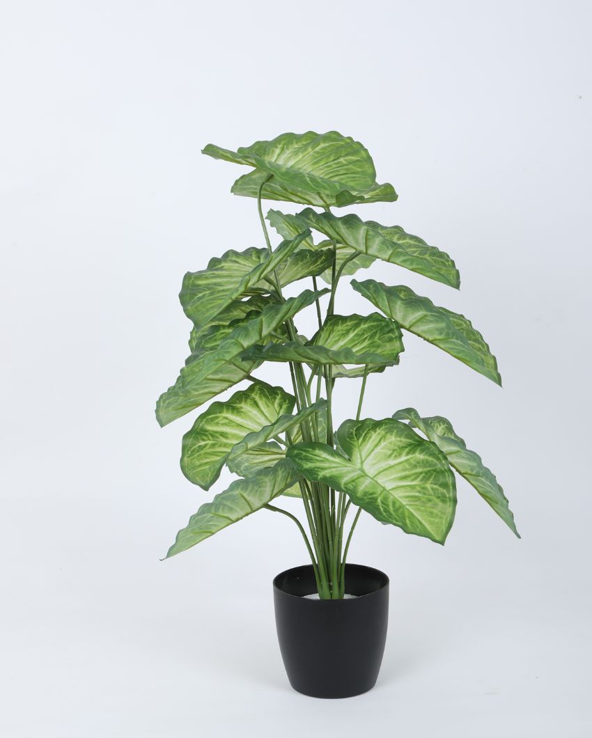 Artificial Pvc Dieffenbachia Silk Plant With Black Pot | 26 Inches Yellow