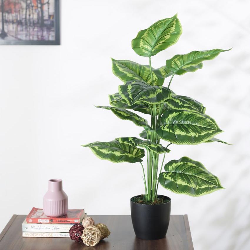 Artificial Pvc Calatheas Silk Plant With Black Pot | 26 Inches Green Yellow