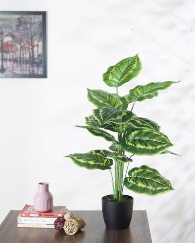 Artificial Pvc Calatheas Silk Plant With Black Pot | 26 Inches Green Yellow