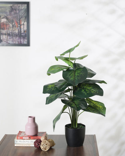 Pvc Dieffenbachia Silk Artificial Plant With Black Pot | 26 Inches