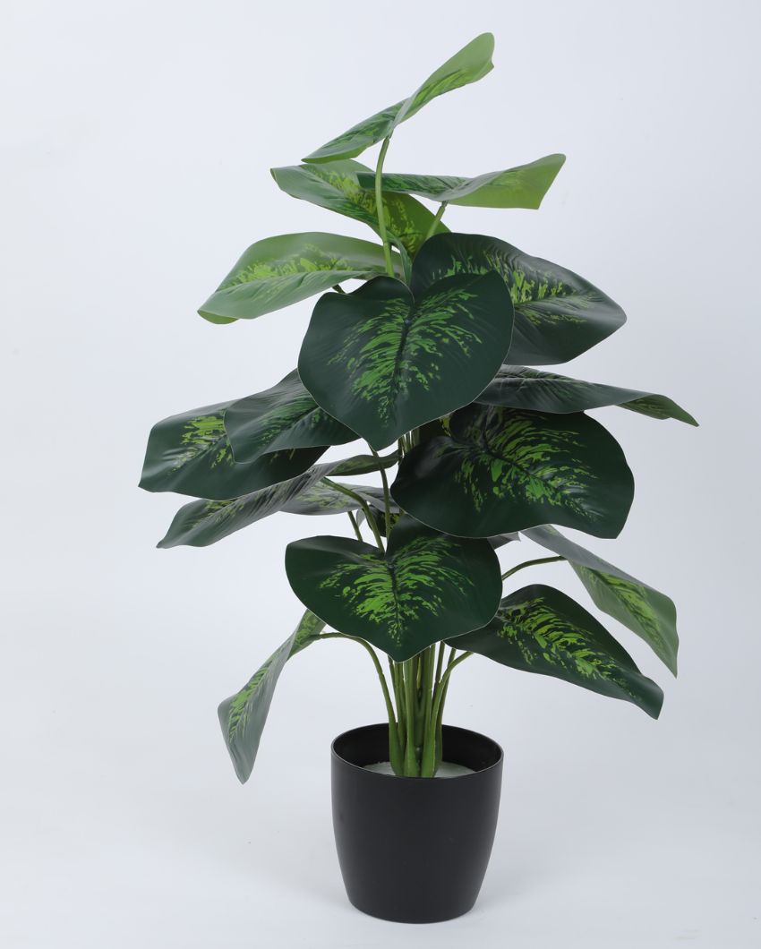 Pvc Dieffenbachia Silk Artificial Plant With Black Pot | 26 Inches