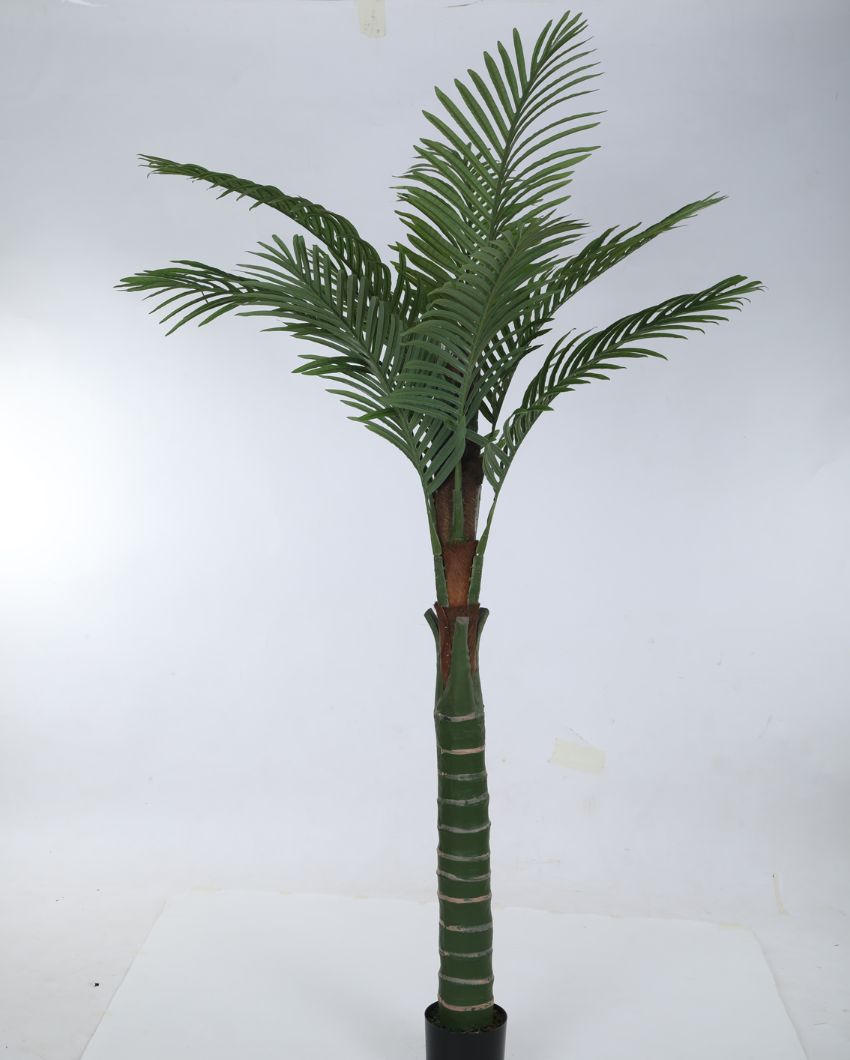 Kesio Artificial Areca Palm Plant For Home Décor With Black Pot | 79 Inches