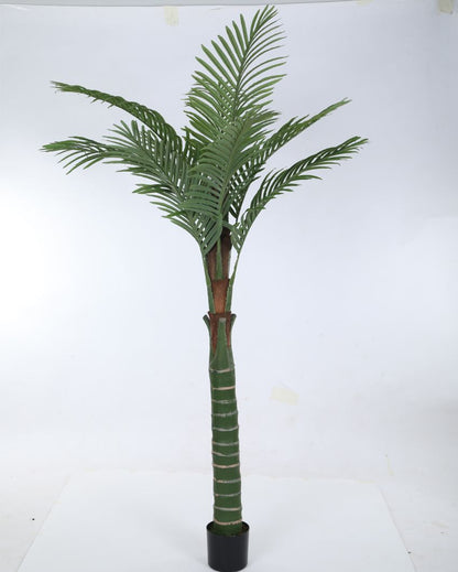 Kesio Artificial Areca Palm Plant For Home Décor With Black Pot | 79 Inches