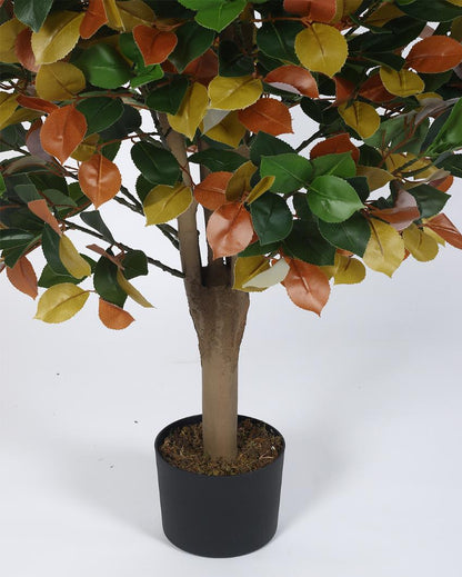 Ficus Artificial Plant with Black Pot | 4 ft