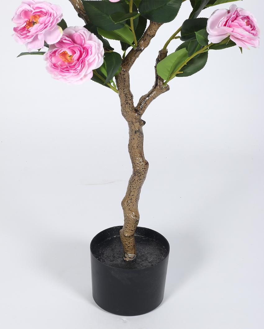 Camellia Rose Artificial Flower Plant with Black Pot | 4 ft