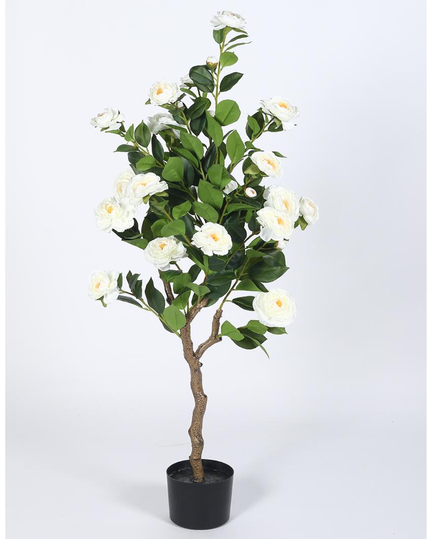 Camellia Rose Artificial Flower Plant with Black Pot | 4 ft